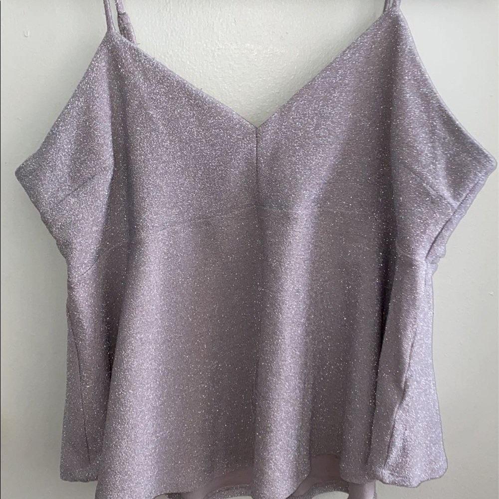 Sparkly Target brand peplum blouse. Wild Fabel